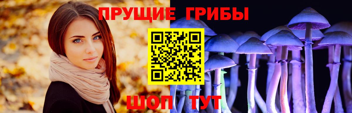 Галлюциногенные грибы мухоморы  Вход с VPN  как найти закладки  Морозовск  Галлюциногенные грибы Psilocybine cubensis 
